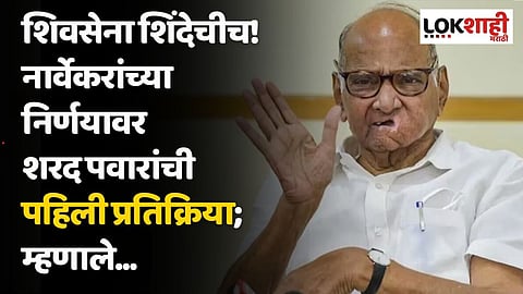 शिवसेना शिंदेचीच! नार्वेकरांच्या निर्णयावर शरद पवारांची पहिली प्रतिक्रिया; म्हणाले...