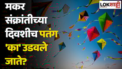 Makar Sankranti 2024 : मकर संक्रांतीच्या दिवशीच पतंग का उडवले जातात?