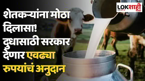 शेतकऱ्यांना मोठा दिलासा! दुधासाठी सरकार देणार एवढ्या रुपयांचं अनुदान