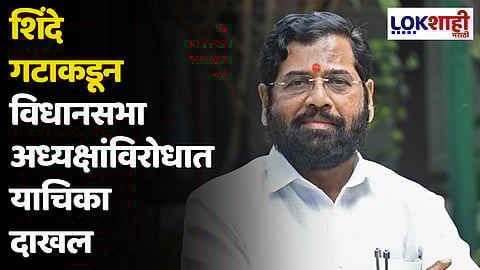 शिंदे गटाकडून विधानसभा अध्यक्षांविरोधात याचिका दाखल