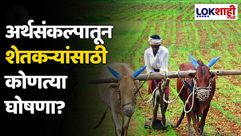 Agriculture Budget 2024: अर्थसंकल्पातून शेतकऱ्यांसाठी कोणत्या घोषणा?