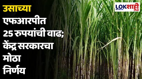 केंद्र सरकारचा मोठा निर्णय; उसाच्या एफआरपीत 25 रुपयांची वाढ