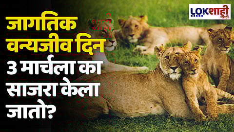World Wildlife Day 2024: जागतिक वन्यजीव दिन 3 मार्चला का साजरा केला जातो? जाणून घ्या थीम, इतिहास आणि महत्त्व
