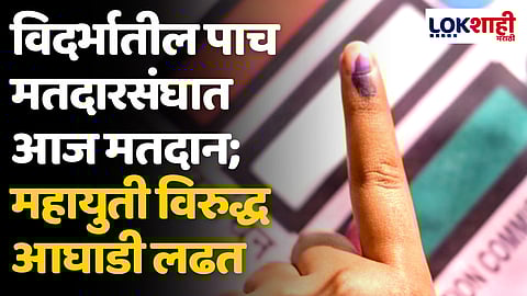 Lok Sabha Election 2024: विदर्भातील पाच मतदारसंघात आज मतदान; महायुती विरुद्ध आघाडी लढत