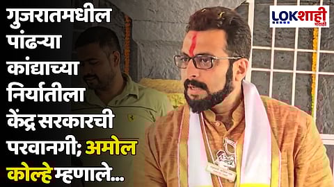 गुजरातमधील पांढऱ्या कांद्याच्या निर्यातीला केंद्र सरकारची परवानगी; अमोल कोल्हे म्हणाले...