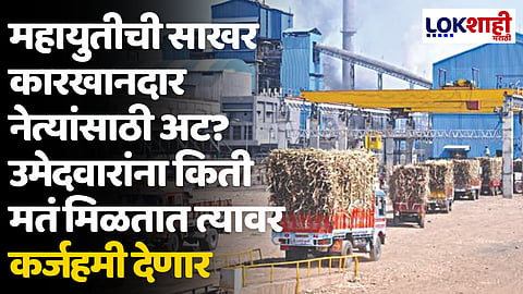महायुतीची साखर कारखानदार नेत्यांसाठी अट? उमेदवारांना किती मतं मिळतात त्यावर कर्जहमी देणार