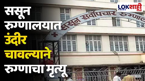 पुणे येथील ससून रुग्णालयातील धक्कादायक घटना; रुग्णालयाच्या ICU मध्ये उंदीर चावल्याने रुग्णाचा मृत्यू