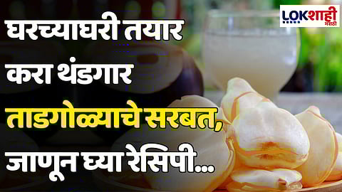 Ice Apple Juice Recipe: घरच्याघरी तयार करा थंडगार ताडगोळ्याचे सरबत, जाणून घ्या रेसिपी...