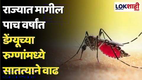 Dengue: राज्यात मागील पाच वर्षांत डेंग्यूच्या रुग्णांमध्ये सातत्याने वाढ
