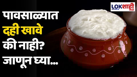 Curd: पावसाळ्यात दही खावे की नाही? जाणून घ्या...