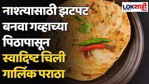 Chilli Garlic Paratha : नाश्त्यासाठी झटपट बनवा गव्हाच्या पिठापासून स्वादिष्ट चिली गार्लिक पराठा