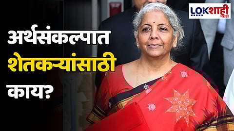 Agriculture Budget 2024: अर्थसंकल्पात कृषी क्षेत्रासाठी तब्बल 'एवढ्या' कोटींचा तरतूद