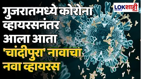 Chandipura Vesiculovirus: गुजरातमध्ये कोरोना व्हायरसनंतर आला आता 'चांदीपुरा' नावाचा नवा व्हायरस