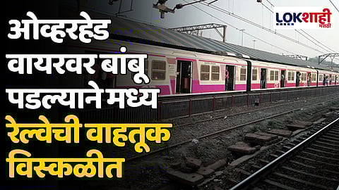 Central Railway: ओव्हरहेड वायरवर बांबू पडल्याने मध्य रेल्वेची वाहतूक विस्कळीत