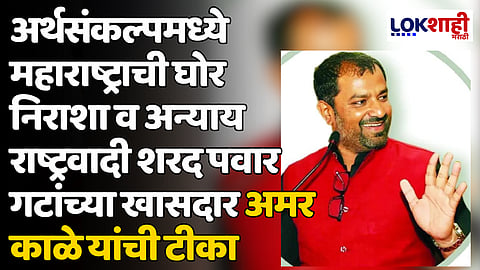 अर्थसंकल्पमध्ये महाराष्ट्राची घोर निराशा व अन्याय राष्ट्रवादी शरद पवार गटांच्या खासदार अमर काळे यांची टीका