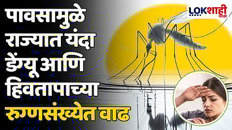 Dengue: पावसामुळे राज्यात यंदा डेंग्यू आणि हिवतापाच्या रुग्णसंख्येत वाढ