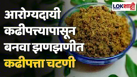 आरोग्यदायी कढीपत्त्यापासून बनवा झणझणीत कढीपत्ता चटणी