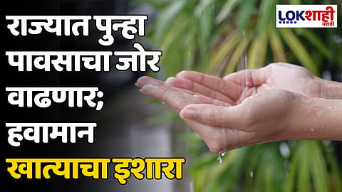 Maharashtra Rain: राज्यात पुन्हा पावसाचा जोर वाढणार; हवामान खात्याचा इशारा