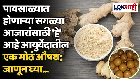 पावसाळ्यात होणाऱ्या सगळ्या आजारांसाठी 'हे' आहे आयुर्वेदातील एक मोठं औषध; जाणून घ्या...