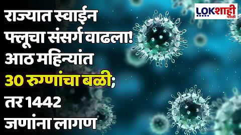 राज्यात स्वाईन फ्लूचा संसर्ग वाढला! आठ महिन्यांत 30 रुग्णांचा बळी; तर 1442 जणांना लागण