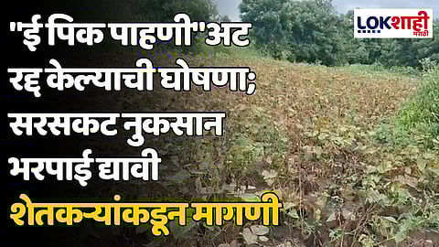 "ई पिक पाहणी"अट रद्द केल्याची घोषणा; सरसकट नुकसान भरपाई द्यावी शेतकऱ्यांकडून मागणी