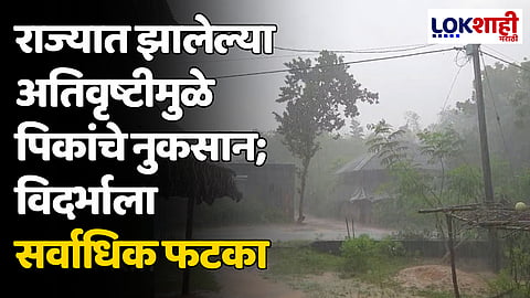 राज्यात जुलै-ऑगस्टमध्ये झालेल्या अतिवृष्टीमुळे पिकांचे नुकसान; विदर्भाला सर्वाधिक फटका