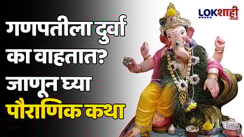 Ganesh Chaturthi 2024: गणपतीला दुर्वा का वाहतात? जाणून घ्या पौराणिक कथा