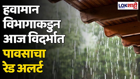 Maharashtra Rain: हवामान विभागाकडुन आज विदर्भात पावसाचा रेड अलर्ट