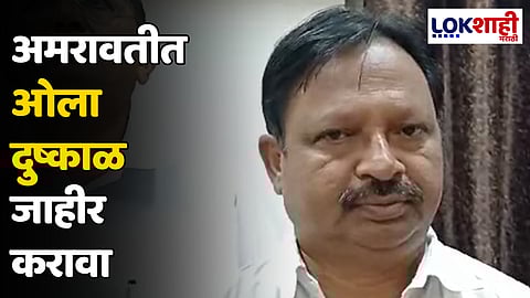 Balwant Wankhade : अमरावतीत ओला दुष्काळ जाहीर करावा