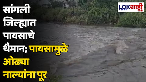 Sangli : सांगली जिल्ह्यात पावसाचे थैमान; पावसामुळे ओढ्या नाल्यांना पूर