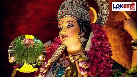 Navratri 2024: नवरात्रीदरम्यान जवसाचे धान्य पेरण्या मागे काय आहे कारण; जाणून घ्या...