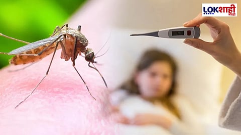मुंबईकरांनो काळजी घ्या! मुंबईत डेंग्यू आणि हिवतापाचा प्रादुर्भाव; रुग्णांच्या संख्येत वाढ