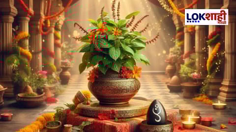 तुळशी विवाहानंतरच लग्नाचे मुहूर्त का? जाणून घ्या कारण