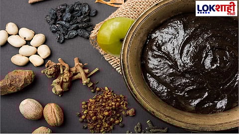 औषधी गुणधर्म असणाऱ्या आवळ्यापासून घरच्याघरी बनवा चांगल्या प्रतीचा च्यवनप्राश