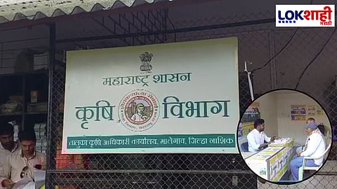 Malegaon Onion Crop Insurance Fraud: नाशिकच्या मालेगावात पिकविम्याचा 4 कोटींचा घोटाळा?