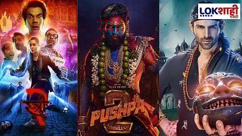 Top Grossing Movies 2024: बॉलिवूड आणि साऊथचे टॉप 5 चित्रपट ज्यांनी 2024 मध्ये बॉक्स ऑफिसवर केली छप्पर फाड कमाई