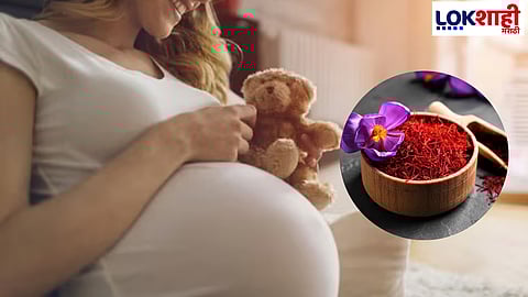 Saffron Benefits: गरोदरपणात करा केशराचे सेवन, आरोग्य आणि मानसिक संतुलनासाठी ठरेल उपयुक्त