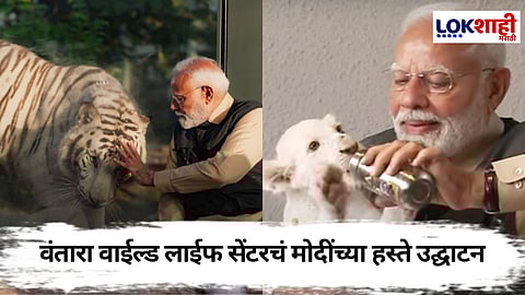 पंतप्रधान नरेंद्र मोदी यांच्या हस्ते 'वंतारा वाइल्डलाईफ'चे उद्घाटन, प्राण्यांबरोबरचे सुंदर फोटो समोर