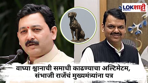 Sambhaji Raje : 'रायगडवरील वाघ्या श्वानाची समाधी हटवा'; संभाजी राजेंचं फडणवीसांना पत्र