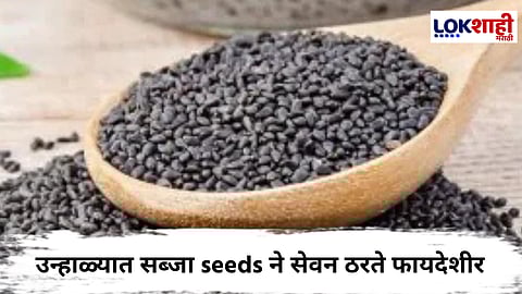 Health Tips : 'या' पदार्थांसोबत सब्जा करा मिक्स; मिळतील उत्तम रिजल्ट