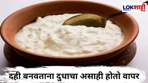 वर्षभर ताज्या घरगुती दह्याचा आनंद घेण्यासाठी वापरा 'या' स्मार्ट टिप्स