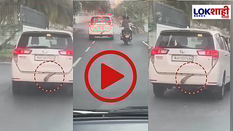 Navi Mumbai: तो हात कोणाचा? नवी मुंबईतील धक्कादायक प्रकार; पाहा 'हा' व्हिडियो