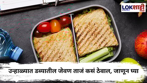 Summer Tips : उन्हाळ्यात डब्यातील जेवण लवकर का खराब होतं? जाणून घ्या उपाय आणि काही टिप्स