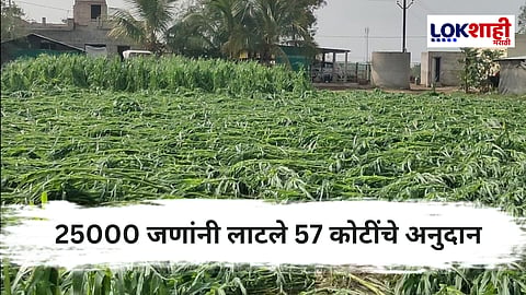 जालना जिल्ह्यात बोगस शेतकऱ्यांचा महाघोटाळा ; धक्कादायक अहवाल समोर