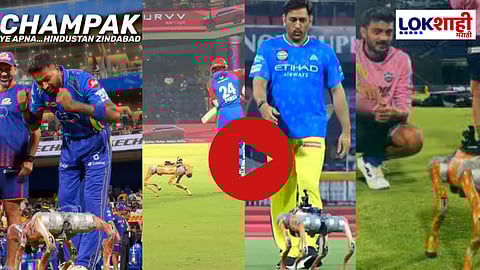 IPL 2025 Champak : मैदानात चंपकसोबत रमले क्रिकेटर्स! सोशल मीडियावर फेमस झालेल्या रोबो डॉगला हे नाव कसं पडलं?