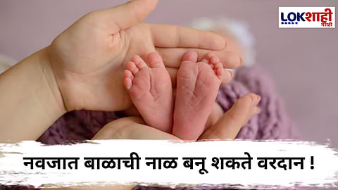 Baby's Cord Care : प्रसूतीनंतर जपून ठेवा बाळाची नाळ; भविष्यात गंभीर आजारांवर होऊ शकतो रामबाण उपाय