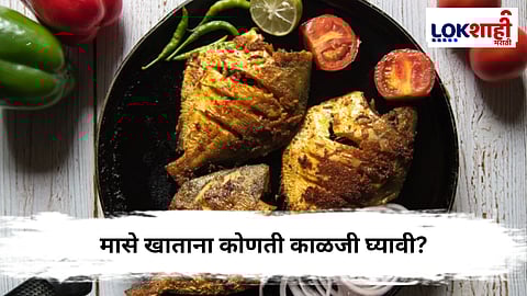 Fish Food : मासे आवडीने खात आहात ? पण या परिणामांबद्दलही जाणून घ्या