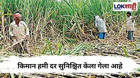 FRP मध्ये वाढ, थेट 5 कोटी ऊस उत्पादक शेतकऱ्यांना लाभ; कामगारांनाही दिसाला