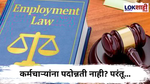 Supreme Court : "कोणत्याही कर्मचाऱ्यासाठी पदोन्नती हा हक्क नाही" ; सुप्रीम कोर्टाचा महत्वपूर्ण निर्णय