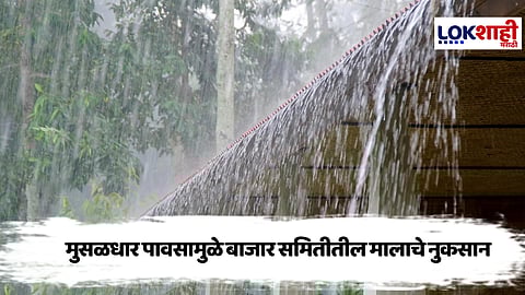 Washim Rain News : वाशिम जिल्ह्याला अवकाळी पावसाने झोडपले